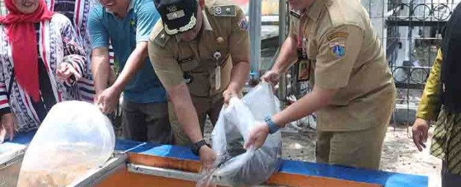 Kolam Gizi RPTRA Nyiur