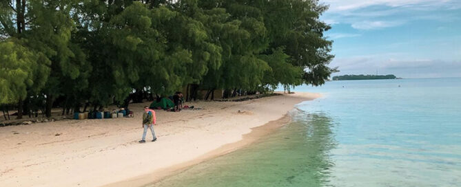 wisata Pulau Dolphin